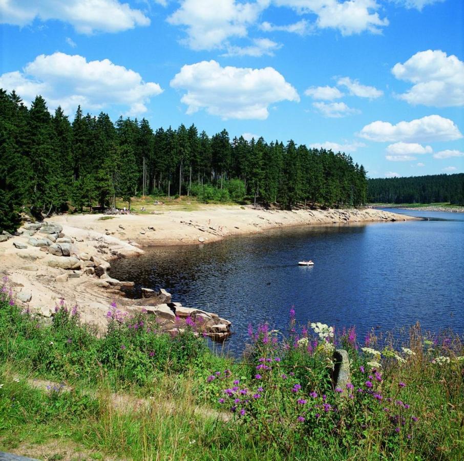 Schoene Ferienwohnung Fuer 6 Personen Erwartet Sie Im Oberharz ซังคท์อันเดรอัสแบร์ก ภายนอก รูปภาพ